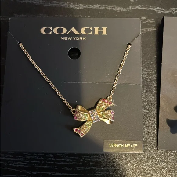 Coach Rainbow Paved Now Tie Pendant Necklace and matching Earring bundle NWT